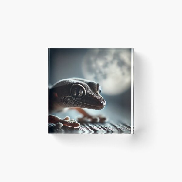 Item preview, Close-Up Mourning Gecko in Moonlight designed and sold by NocturnalNook.