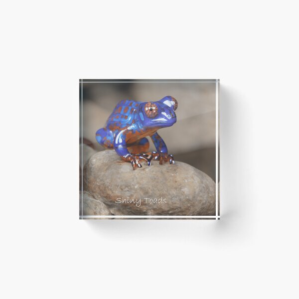Item preview, Shiny Toads designed and sold by Fruityblue.