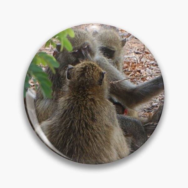 Item preview, African baboon family, Chobe, Botswana designed and sold by FranWest.