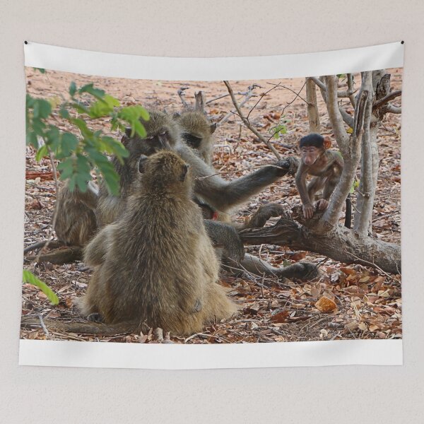Item preview, African baboon family, Chobe, Botswana designed and sold by FranWest.
