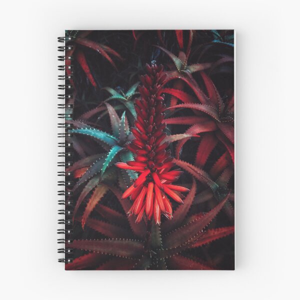 Item preview, Beautifully vibrant red cactus flower designed and sold by Kaegyn.