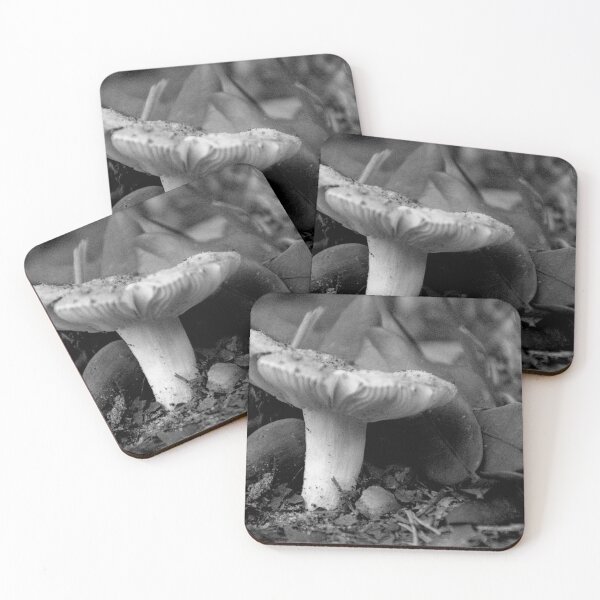 Item preview, Front Yard Fungi designed and sold by MercerImages.