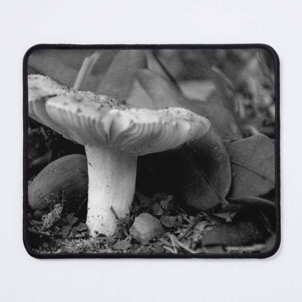 Item preview, Front Yard Fungi designed and sold by MercerImages.