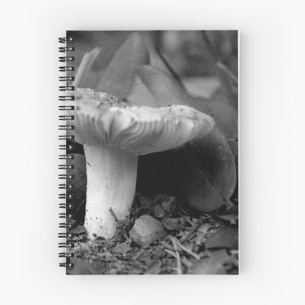 Item preview, Front Yard Fungi designed and sold by MercerImages.