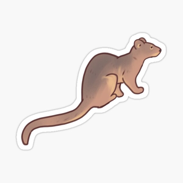 Item preview, Cute Fossa animal  designed and sold by Artofmayara.