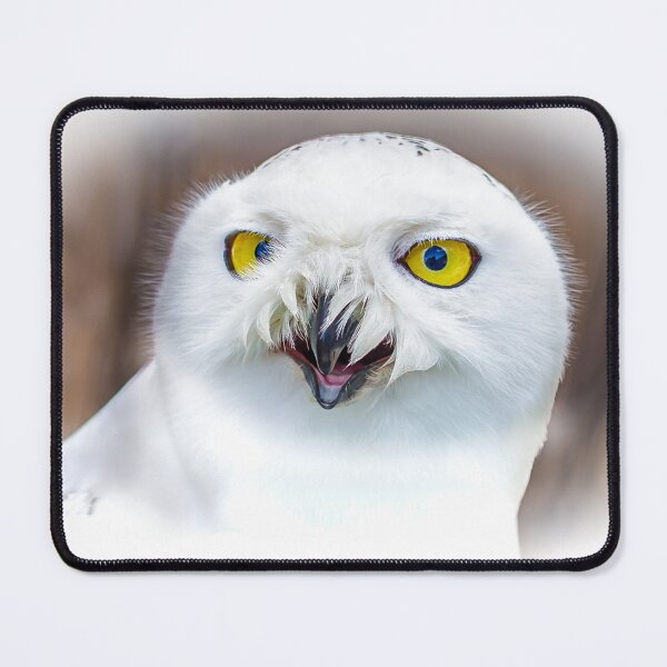 Item preview,  Snowy Owl designed and sold by Dalyndigital Photography.
