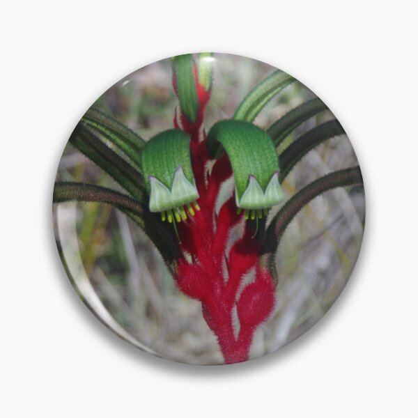 Item preview, Green Kangaroo Paw On Wireless Hill designed and sold by lezvee.