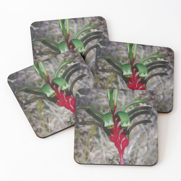 Item preview, Green Kangaroo Paw On Wireless Hill designed and sold by lezvee.