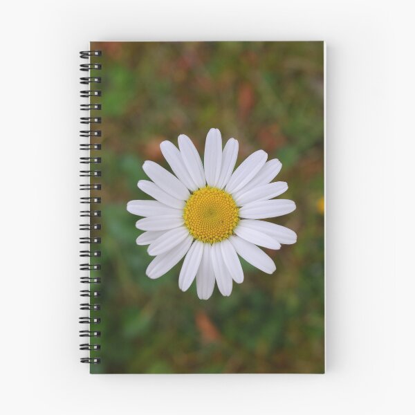 Item preview, Ox Eye Daisy flower designed and sold by CatherineMoore4.