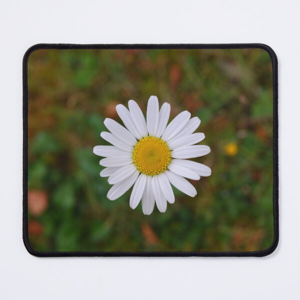 Item preview, Ox Eye Daisy flower designed and sold by CatherineMoore4.