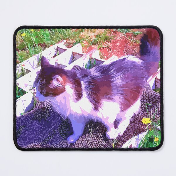 Item preview, my cat chilling on neighbor's chainmail designed and sold by Dina Akselrod.