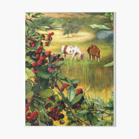 Watercolor Landscape Horse Ranch Wild Blackberries Abundance Art Art Board Print