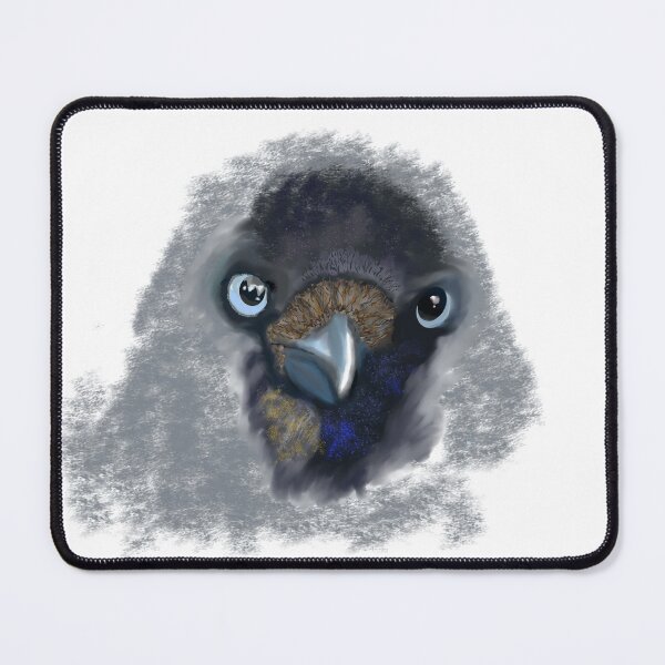 Item preview, Jackdaw Bird designed and sold by Rae Taylor.