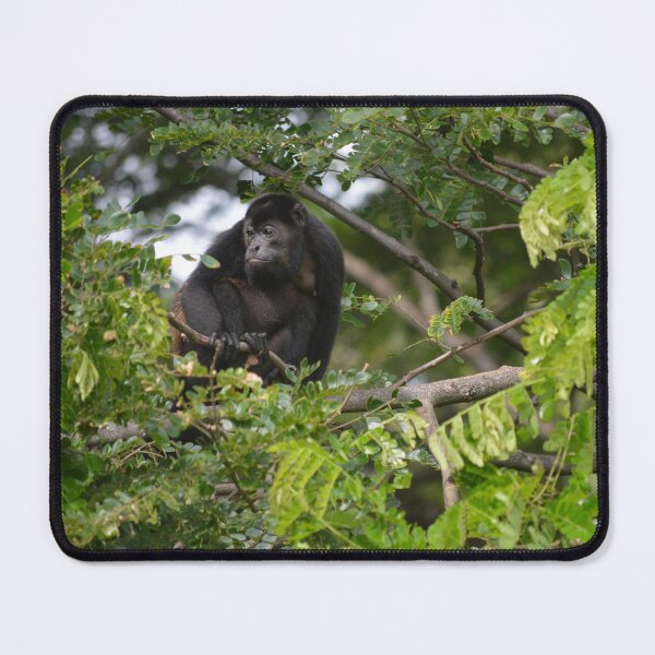 Item preview, Howler Monkey designed and sold by scottlur.