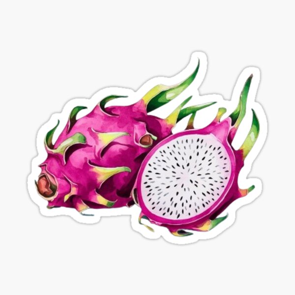 Item preview, Dragon fruit watercolour designed and sold by MrJapakiya.
