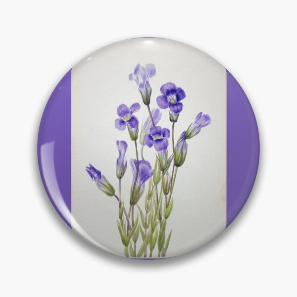 Item preview, Fringed Gentian, 1933. Mary Vaux Walcott designed and sold by MarigoldandLily.