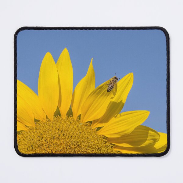 Item preview, Bee on sunflower blossom designed and sold by StohlerPhotos.