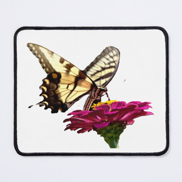 Item preview, Butterfly and Pink Zinnia designed and sold by CarolBeeDesigns.
