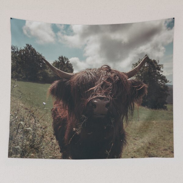 Item preview, Black highland Scottish cow grazing vintage retro designed and sold by Patrik Lovrin.