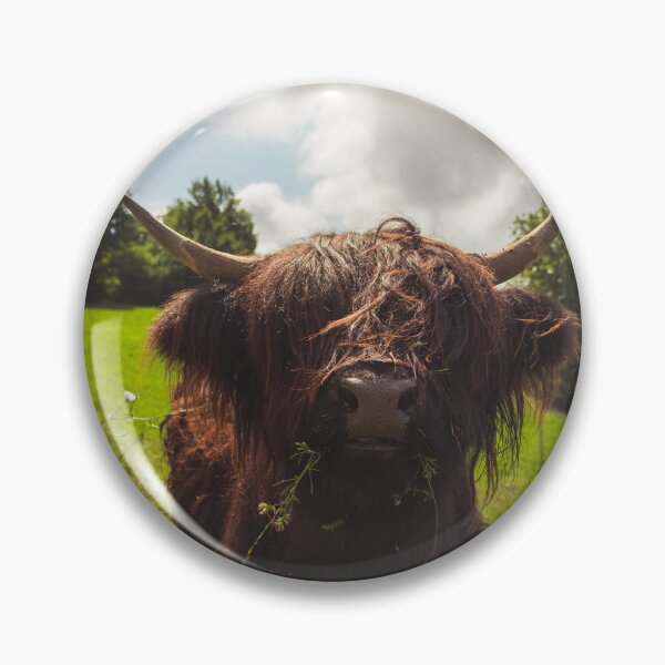 Item preview, Black highland cow grazing green field sun light designed and sold by Patrik Lovrin.