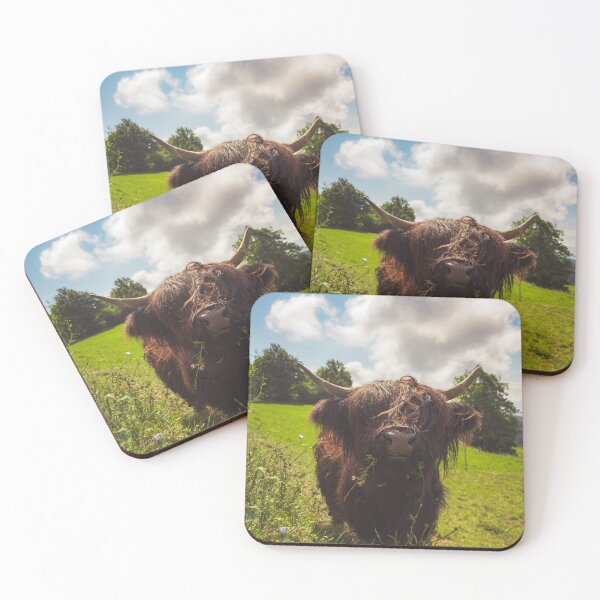 Item preview, Black highland cow grazing green field sun light designed and sold by Patrik Lovrin.