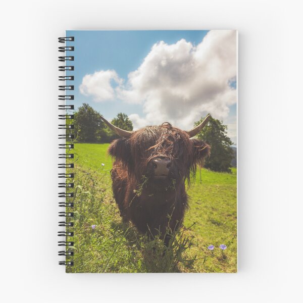 Item preview, Black highland cow grazing green field sun light designed and sold by Patrik Lovrin.