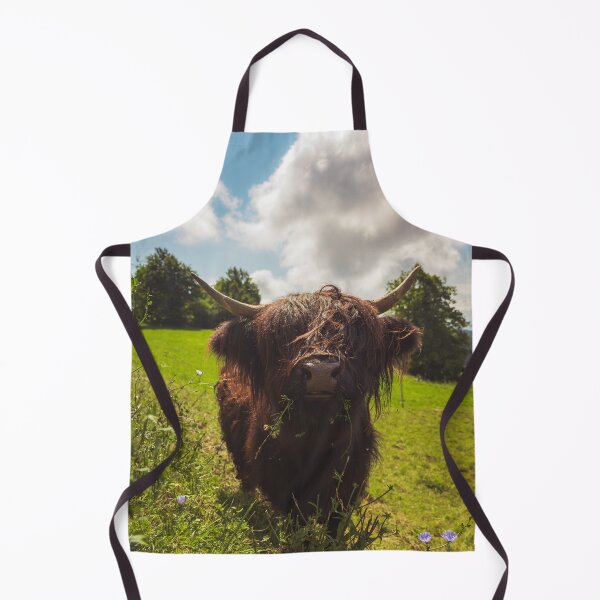 Item preview, Black highland cow grazing green field sun light designed and sold by Patrik Lovrin.