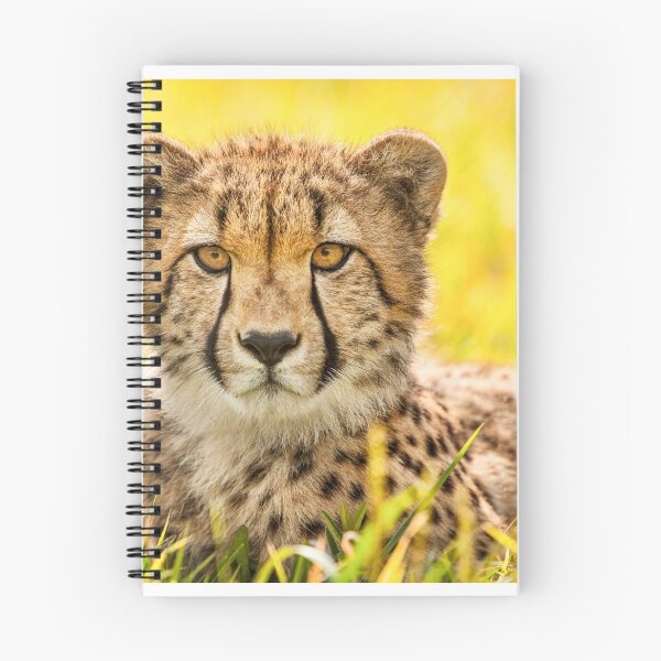 Item preview, Cheetah designed and sold by Zoozwear Apparel.