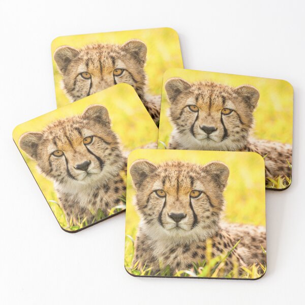 Item preview, Cheetah designed and sold by Zoozwear Apparel.
