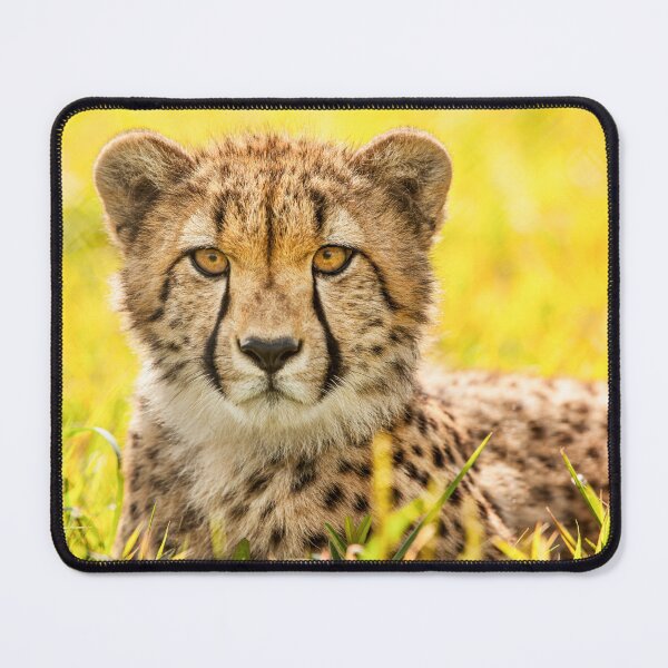 Item preview, Cheetah designed and sold by Zoozwear Apparel.