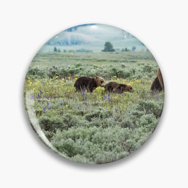 Item preview, Heading South, No. 1 - Grizzly 399 and Cubs designed and sold by Belinda Greb Photography.