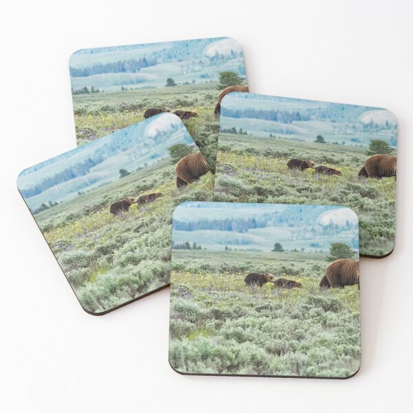 Item preview, Heading South, No. 1 - Grizzly 399 and Cubs designed and sold by Belinda Greb Photography.