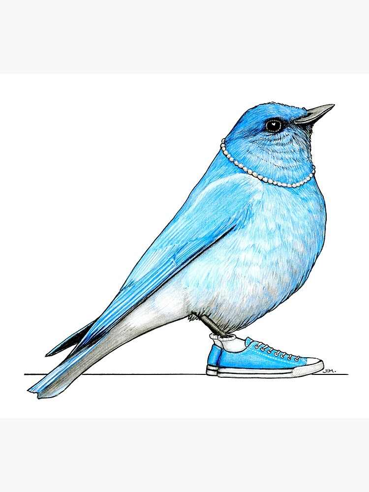 Thumbnail 2 of 2, Greeting Card, Bluebird in Pearls and Chucks designed and sold by JimsBirds.