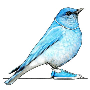 Artwork thumbnail, Bluebird in Pearls and Chucks by JimsBirds