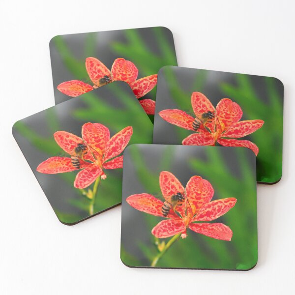 Item preview, Bee Resting On Flower designed and sold by burbankdesigns.