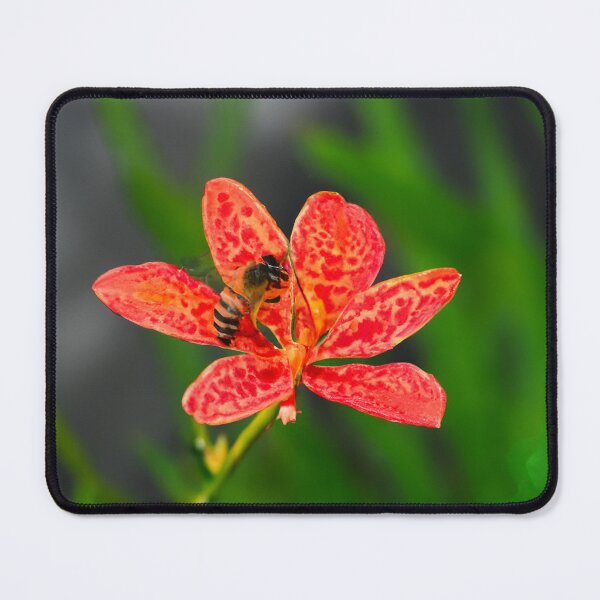 Item preview, Bee Resting On Flower designed and sold by burbankdesigns.