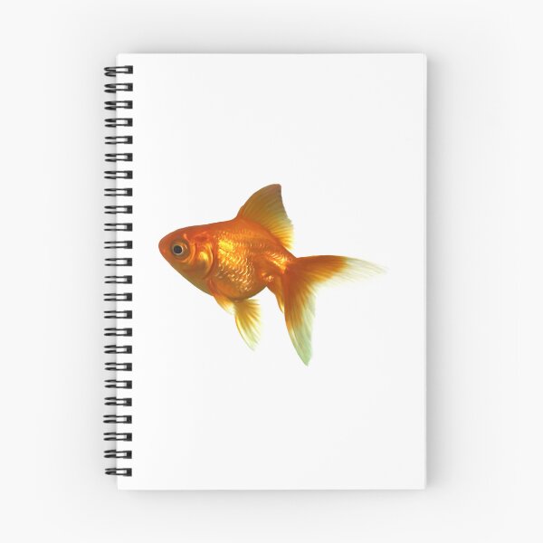 Item preview, Goldfish Aero Sticker designed and sold by ellanely.