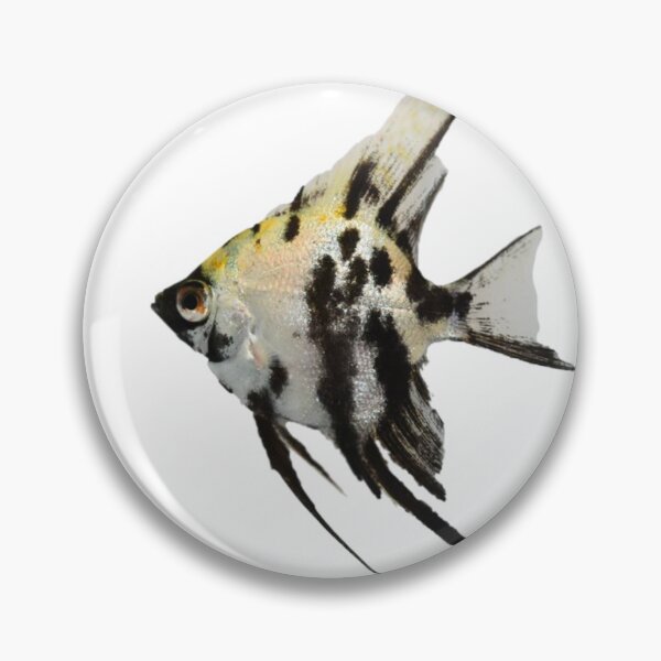 Item preview, Angel Fish  designed and sold by ellanely.