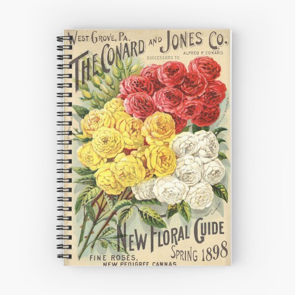 Item preview, Rambler Roses - Conrad & Jones Co. 1899 Vintage Seed Poster designed and sold by killies.