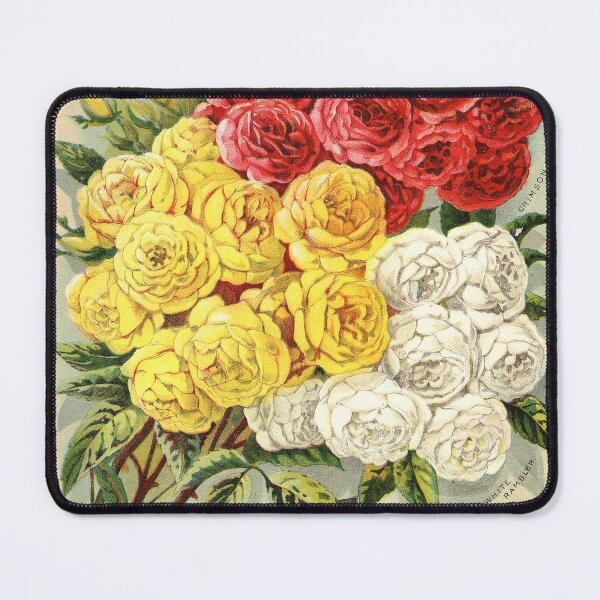 Item preview, Rambler Roses - Conrad & Jones Co. 1899 Vintage Seed Poster designed and sold by killies.