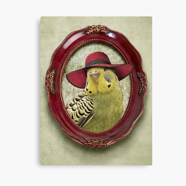 Green Budgie in Red Hat Canvas Print