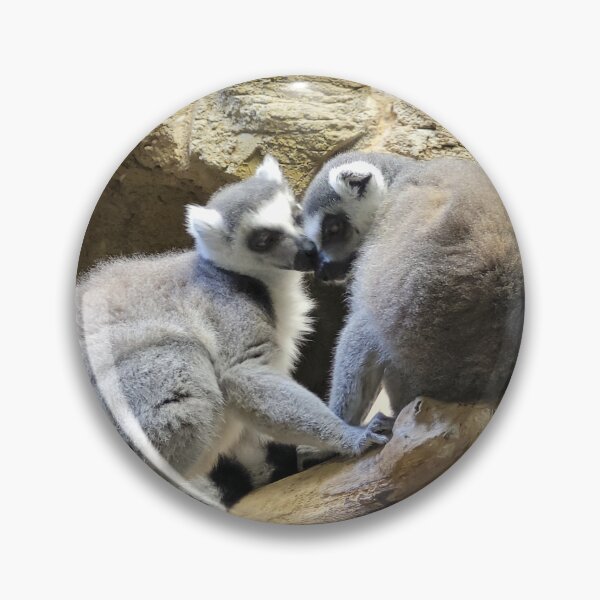 Item preview, Ringtail Lemur kisses designed and sold by KatyChristoff.