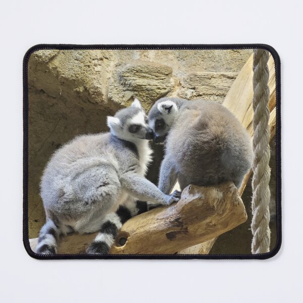 Item preview, Ringtail Lemur kisses designed and sold by KatyChristoff.