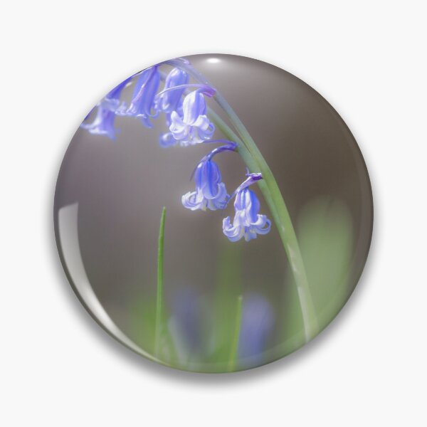 Item preview, Digital photograph of sunnlit bluebell with a soft focus designed and sold by SimonJohnson1.
