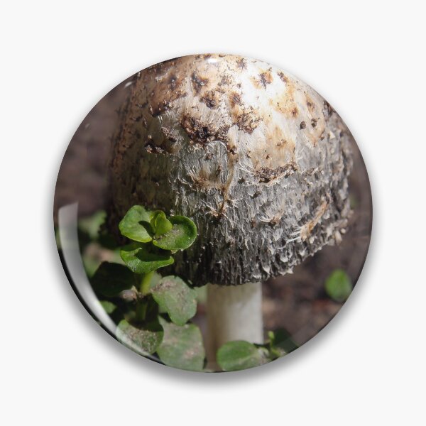 Item preview, Big 'Shroom But Not Magic! designed and sold by heatherfriedman.