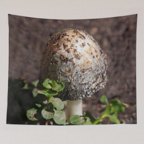 Item preview, Big 'Shroom But Not Magic! designed and sold by heatherfriedman.