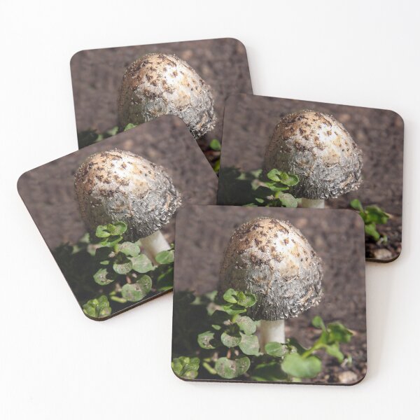 Item preview, Big 'Shroom But Not Magic! designed and sold by heatherfriedman.