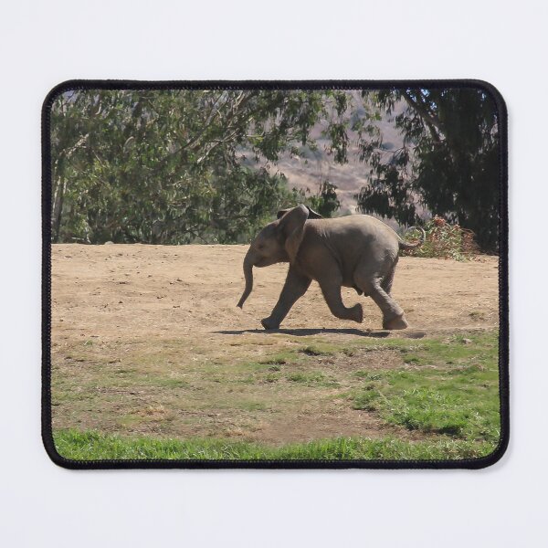 Item preview, I Have To Find My Mama! designed and sold by heatherfriedman.