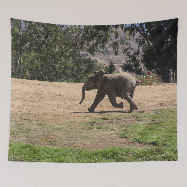 Item preview, I Have To Find My Mama! designed and sold by heatherfriedman.