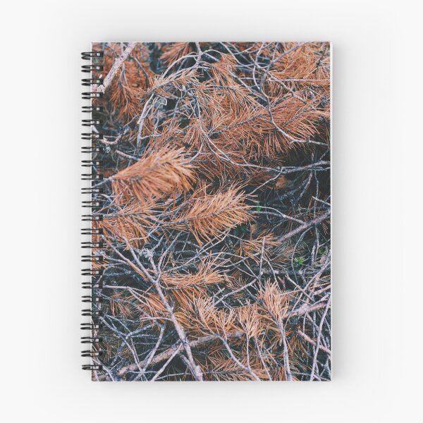 Item preview, Dried up colorful branches designed and sold by riku05830.